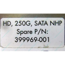 HP 250G 7.2k 432337-001/ 399699-001 / 397377-004 SATA HDD (Орехово-Зуево)