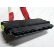 SATA-кабель для корзины HDD HP 451782-001 459190-001 для HP ML310 G5 (Орехово-Зуево)