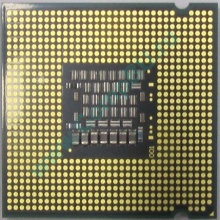 Процессор Intel Celeron Dual Core E1200 (2x1.6GHz) SLAQW socket 775 (Орехово-Зуево)
