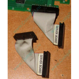 6017B0045701 Шлейф 24 pin для Intel C74974-401 T0043401-B01 корпуса SR2400 (Орехово-Зуево)