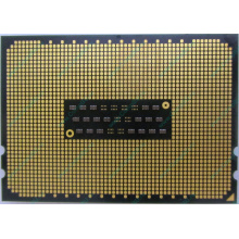 AMD Opteron 6128 OS6128WKT8EGO (Орехово-Зуево)