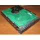Жесткий диск 300Gb 15k Seagate Cheetach ST3300656SS 15K.6 Dell 9CH066-050 6G SAS (Орехово-Зуево)